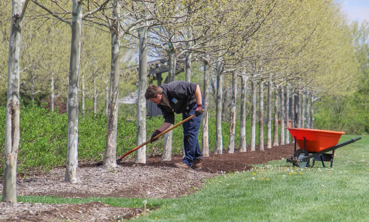 Spring Meadow Maintenance Checklist: March to May