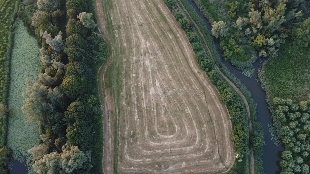 When to Cut a Wildflower Meadow: A Seasonal Timing Guide